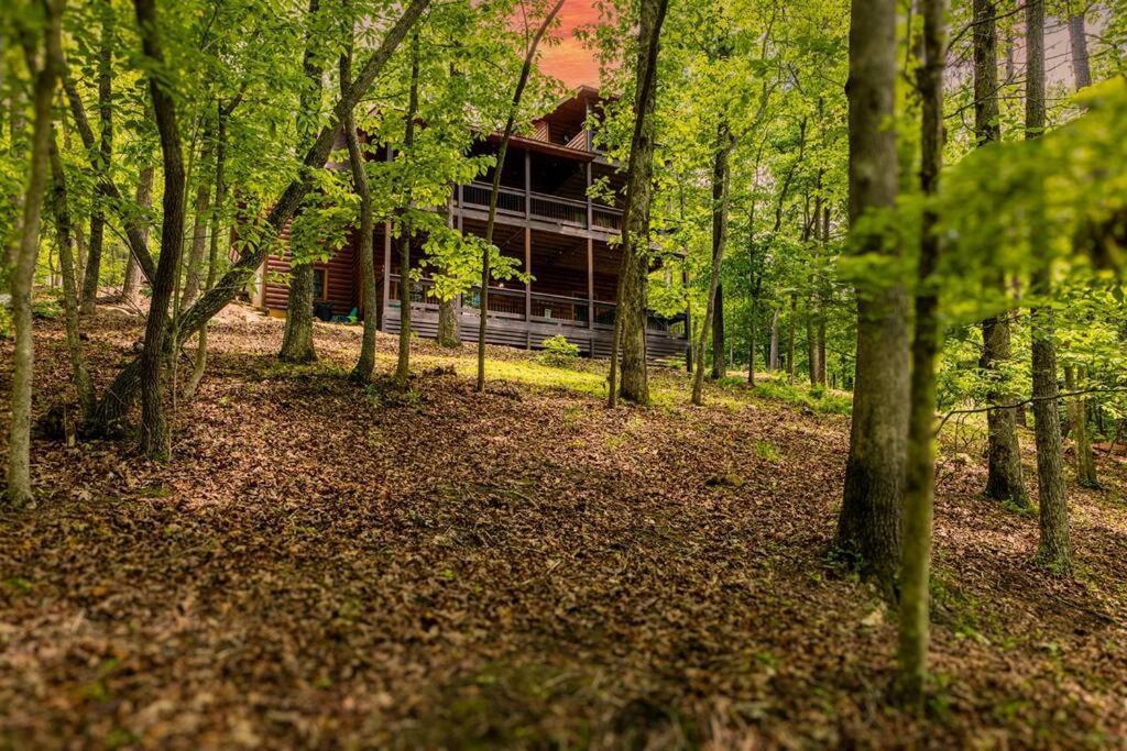 Luxe Family Cabin 8 Min To Downtown Блу Ридж Екстериор снимка